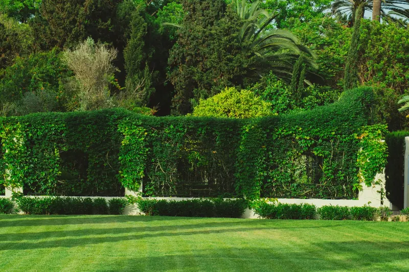 Frisch angelegter Garten mit Rasen und Beeten